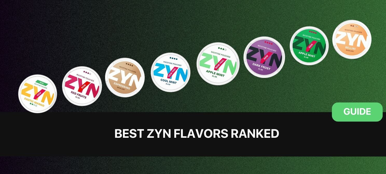 The 10 Best ZYN Flavors Ranked - World of ZYN (2025)