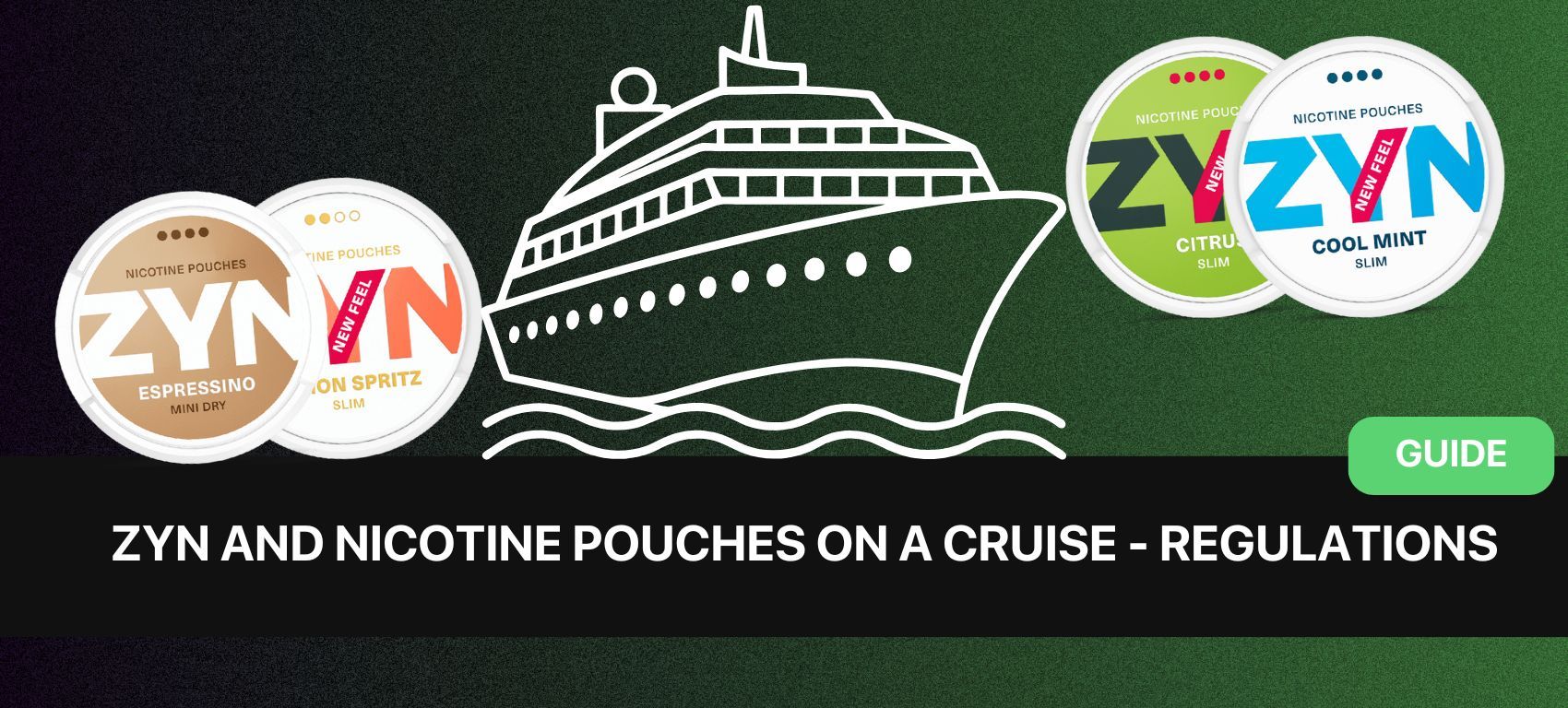 Can You Bring ZYNs on a Cruise