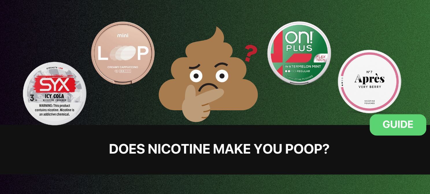 image of a poop wondering if zyn makes you poop