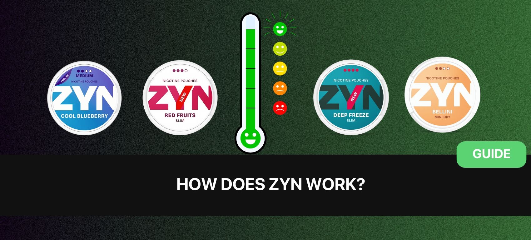 How Does ZYN Work?