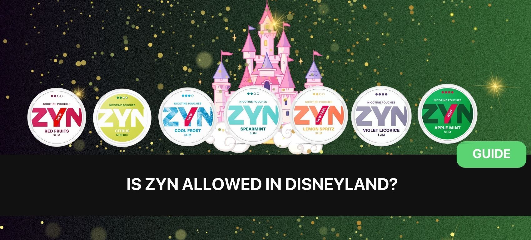 Are ZYNs Allowed in Disneyland