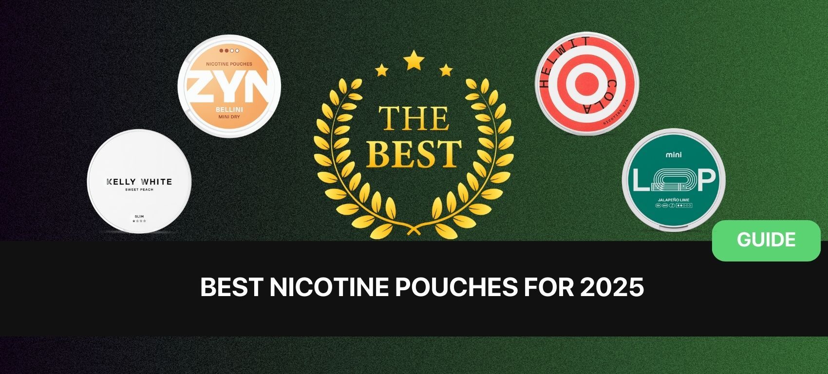 best nicotine pouches for beginners