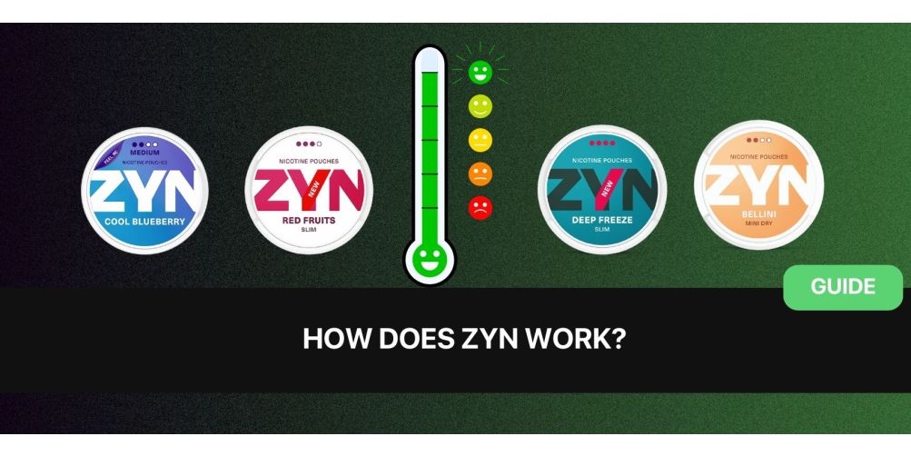 How Does ZYN Work?