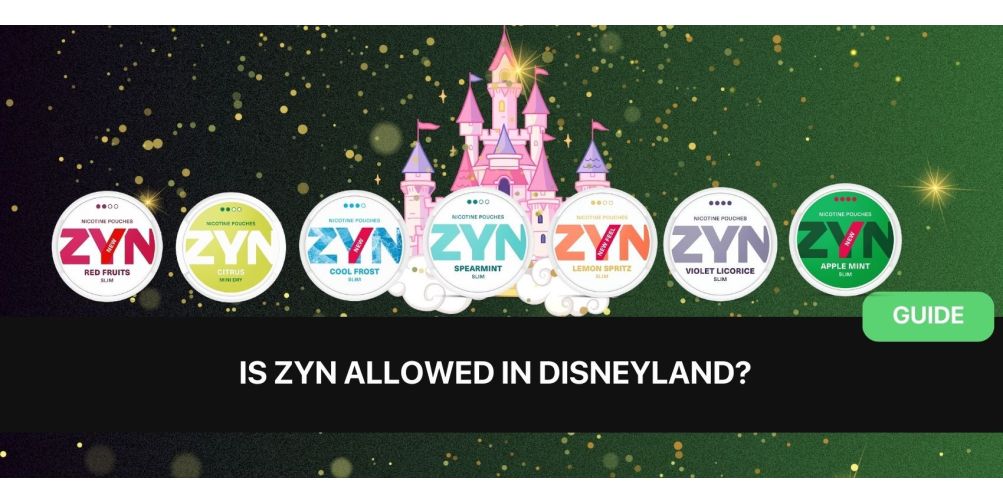 Are ZYNs Allowed in Disneyland