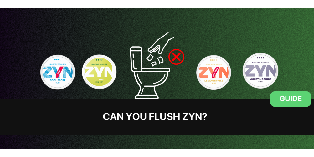 https://www.snusdaddy.eu/media/amasty/blog/cache/c/a/1003/502/can_you_flush_zyn.png