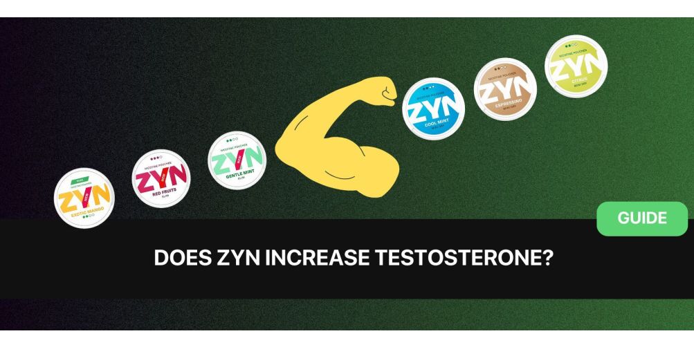 https://www.snusdaddy.eu/media/amasty/blog/cache/n/i/1003/502/nicotine_and_testosterone.jpg