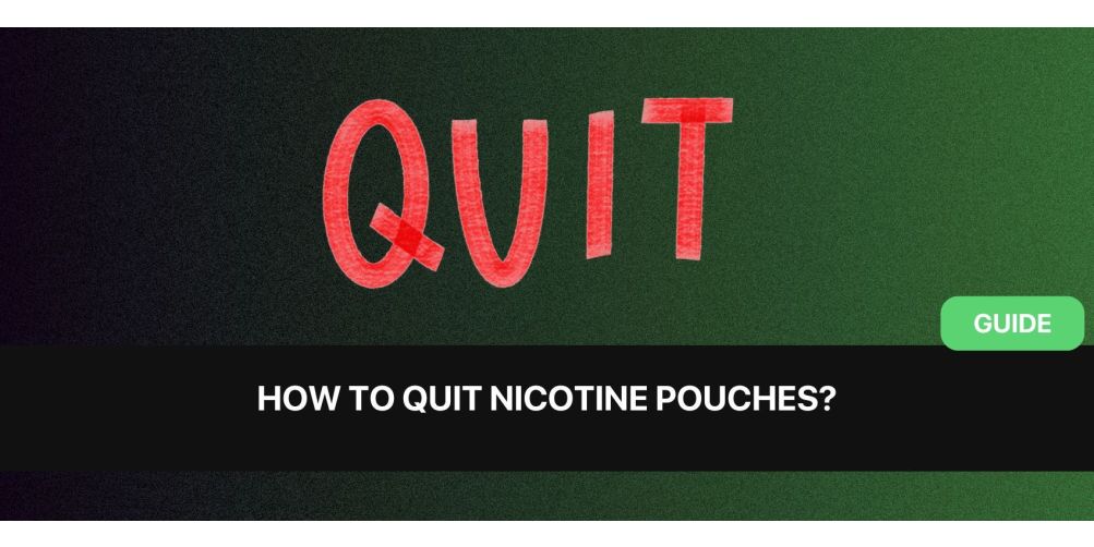 https://www.snusdaddy.eu/media/amasty/blog/cache/n/i/1003/502/nicotine_pouches_how_to_quit_using_them.jpg