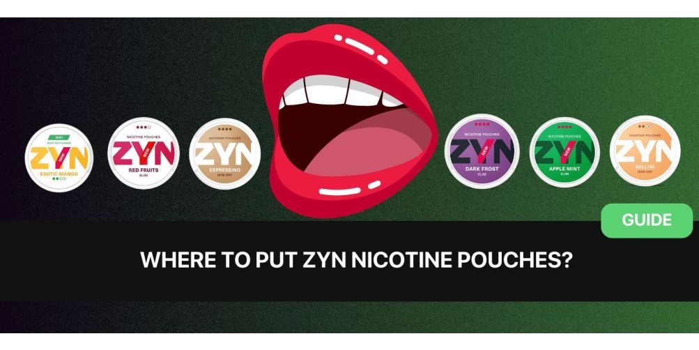 https://www.snusdaddy.eu/media/amasty/blog/cache/w/h/1003/502/where_to_put_ZYN.jpg