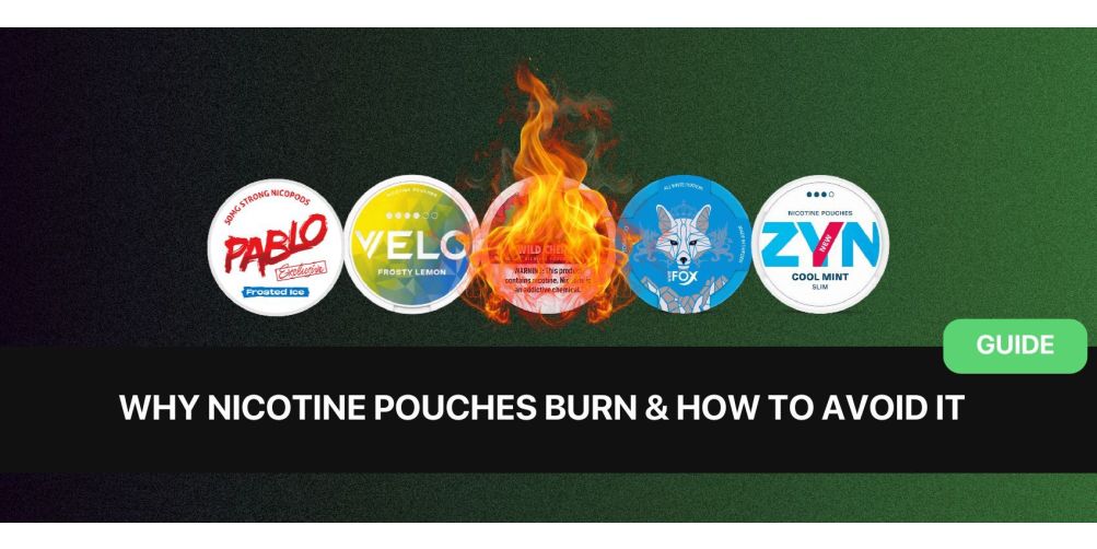 https://www.snusdaddy.eu/media/amasty/blog/cache/w/h/1003/502/why_nicotine_pouches_burn_and_how_to_avoid_it_.jpg