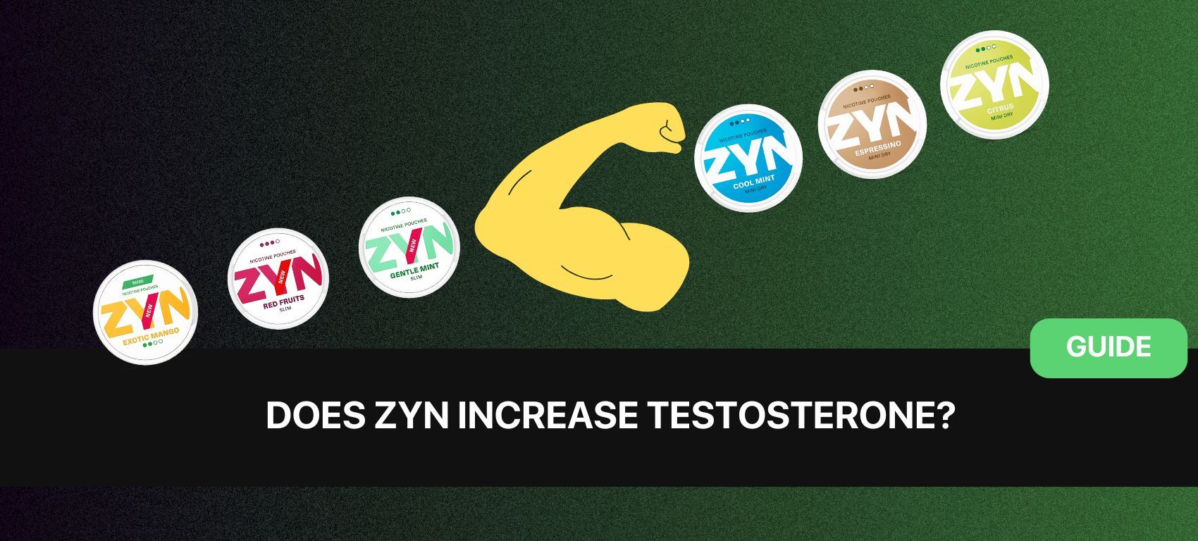 Do ZYNs Increase Testosterone