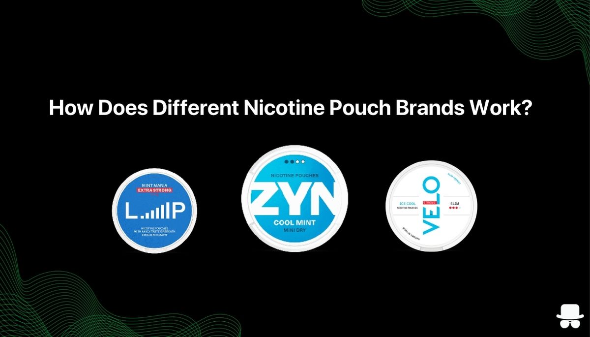 How Does Nicotine Pouches Work?