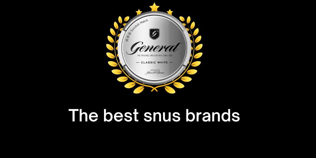 The best snus brands