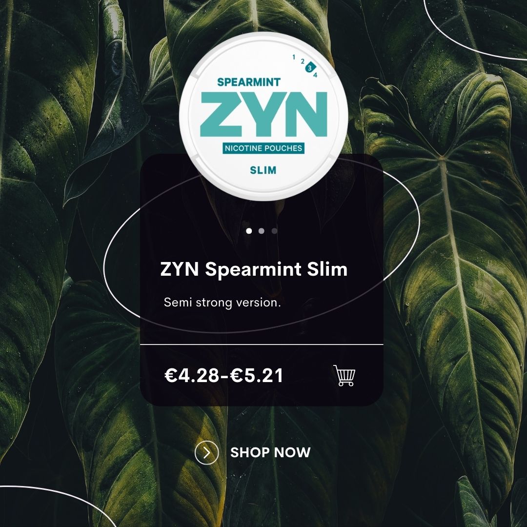 ZYN Spearmint Mini Dry