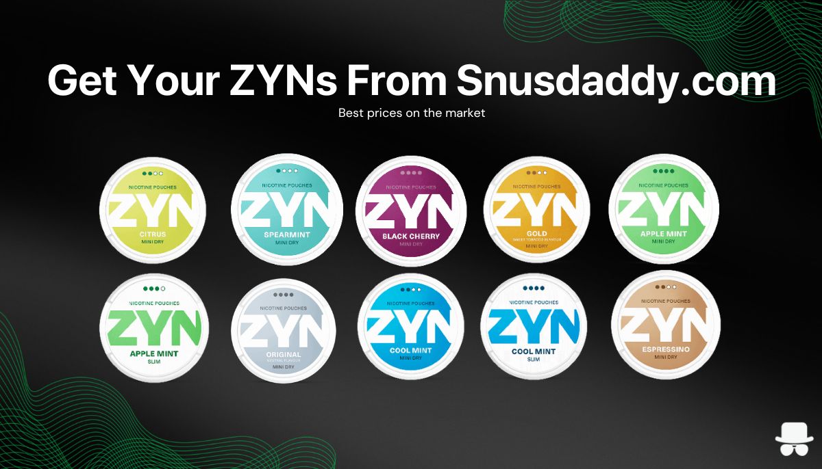 The 10 Best ZYN Flavors Ranked World of ZYN (2024)