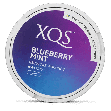 XQS Blueberry Mint 4 mg