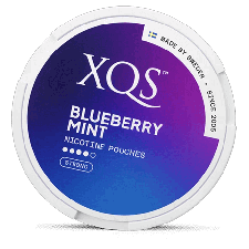 XQS Blueberry Mint Strong