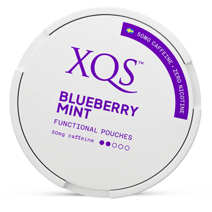 XQS Blueberry Mint Zero 