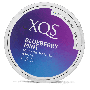 XQS Blueberry Mint 4 mg Product Label thumbnail
