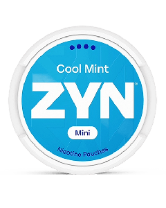 ZYN Mini Dry Cool Mint 6 mg